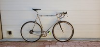 Specialized Langster steel