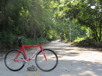 55cm Bianchi Super Pista (2014) photo