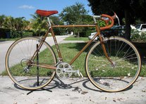 1981 Trek 610 photo