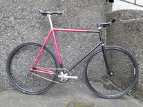 59cm "Hercules" Pista