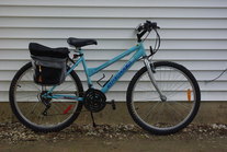 2009 Budget 18 speed Mountain Bike