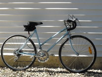 2009 Lost and Found Bike photo