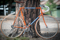 '73-4? Holdsworth Professional