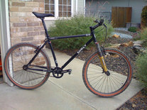 Surly 1x1 singlespeed punk rock