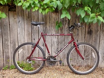 80s Raleigh Nitro photo