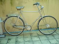 85 Gazelle cruiser