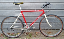 '87 nishiki ariel photo