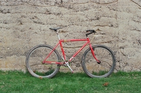 88' SS Stumpjumper photo