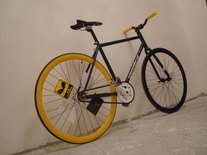 Fixed Gear From Shenzhen,China