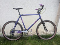 90s Giant Escaper