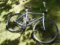 Reclining in Cook Park after riding around the countryside and a longneck of Coopers