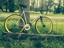 96 polished cannondale R500 photo