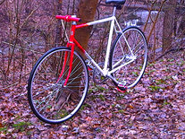 A rainy day ride thru the woods