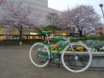 Affinity Cycles Lopro 2011 photo