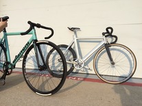 Affinity Kissena photo