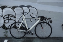 affinity kissena photo