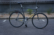 Alain michel pursuit ( Frame for sale )