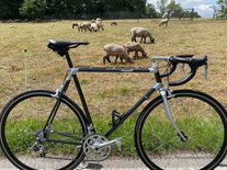 Alan Record Carbonio Campagnolo (1989)