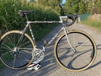 Alan Record Carbonio Campagnolo (1989)