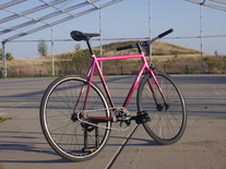 All-City Big Block (2019 Pink Fade)