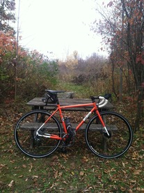 all-city macho man disc photo