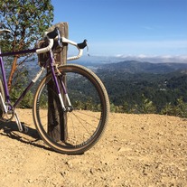 All-City Nature Boy SSCX