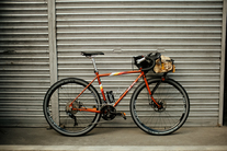 All City Space Horse