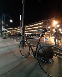 Alphalab SXTX