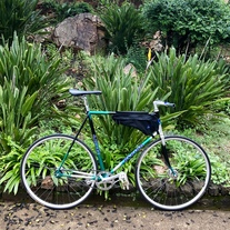 Alpina Track bike photo