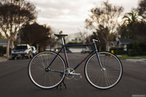 Anchor NJS Maziora