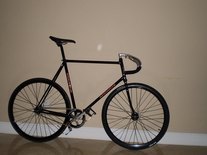 Andante Track Bike