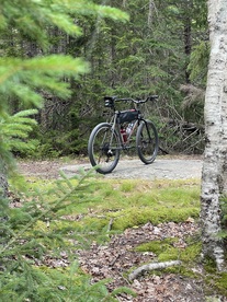 Another 90's Stumpjumper