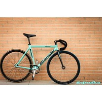 Ashley the Bianchi! photo