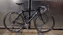 Avanti Team Corsa Carbonio