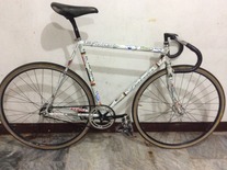 Ave Maldea bike