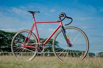 Ave Maldea Fixed Gear Bike photo