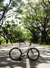 Aventon Mataro Low photo