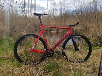 Aventon Mataro Low Inferno photo