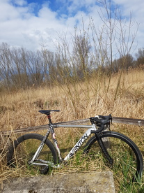 Aventon silver surfer photo