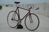 Custom Banani Pursuit Pista