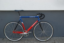 Barrosi track photo