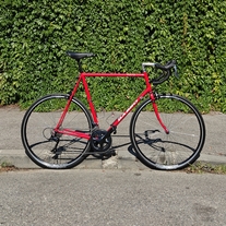 BASSO Loto (90s)