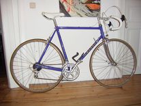 Basso (no specification) photo