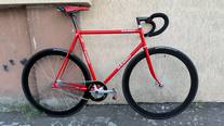 Basso Pista photo