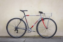 Basso Scout