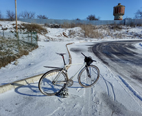 BearBike Rat Lock