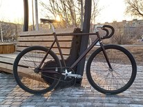 Bearbike Torino photo
