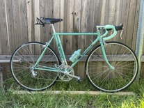 Bianchi Alloro (52cm) photo