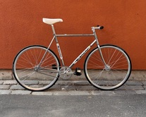 Bianchi "Biatchi" Pista Steel photo