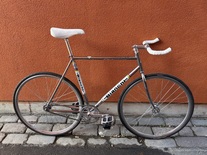 Bianchi Pista Steel "Shiny & Chrome"